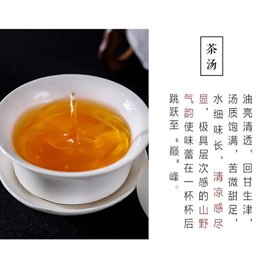 普洱生茶 | 紫金无量 2021年 无量之巅 200g 商品图2