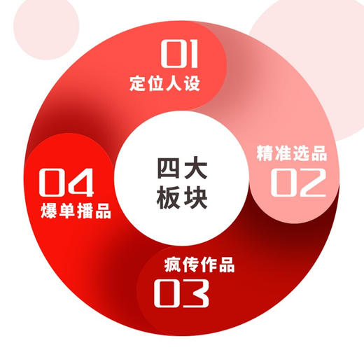 决胜直播电商 连云驰 著 市场营销 管理 商品图1