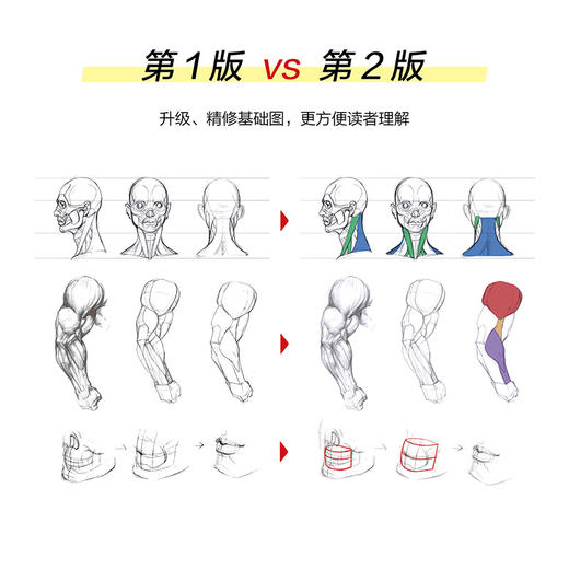 游戏动漫人体结构造型手绘技法 *2版 商品图4