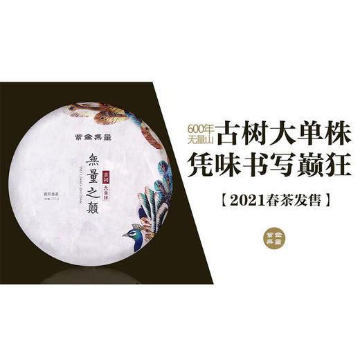 普洱生茶 | 紫金无量 2021年 无量之巅 200g 商品图0