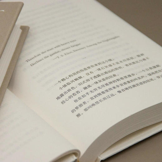 沙漠与沙  赵毅衡/著 小说集 中国 当代 广西师范大学出版社 商品图5