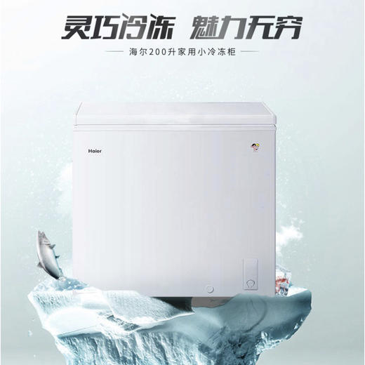 海尔（Haier）冷柜BC/BD-200GHEZW0 商品图0