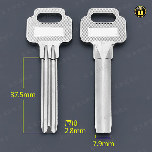 〖2099〗电梅花保德安 商品图0