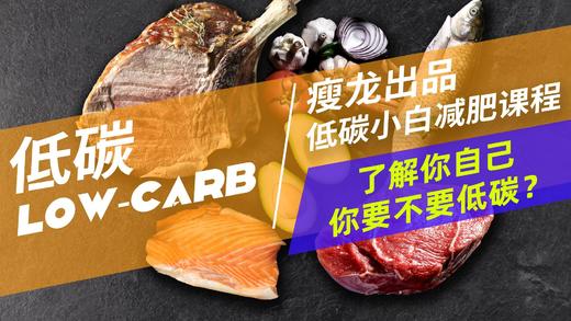 01课 | 你要不要低碳？如何判断自己是否适合低碳？ 商品图0