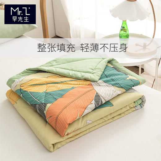 早先生 · 舒爽水洗棉夏被-芭蕉叶 商品图1