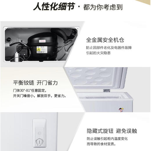 海尔（Haier）冷柜BC/BD-200GHEZW0 商品图8