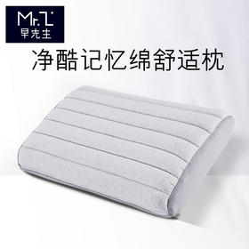 早先生 · 净酷舒适枕