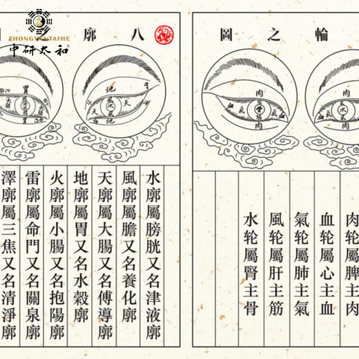 五轮八廓图仿真中医馆医院会所门诊药店文化装饰画 商品图4