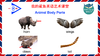 Animal Body Parts 朗读示范 商品缩略图0