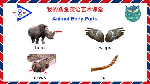Animal Body Parts 朗读示范 商品图0