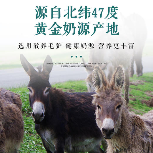 驴太太 | 初乳配方驴乳粉成年奶粉 女士儿童中老年增强体质驴奶粉 商品图4