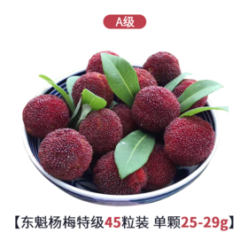 【已下架】等待365天的美味| 台州仙居东魁杨梅『特A级』45颗装 下单现摘 顺丰冷链发货 [福利品]