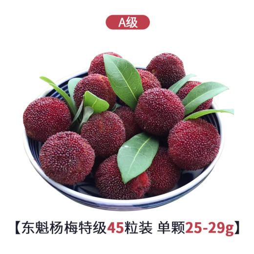 【已下架】等待365天的美味| 台州仙居东魁杨梅『特A级』45颗装 下单现摘 顺丰冷链发货 [福利品] 商品图0