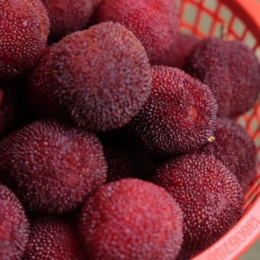 【已下架】等待365天的美味 | 台州仙居东魁杨梅『特级』72颗装 下单现摘 顺丰冷链发货 [福利品] 商品图3