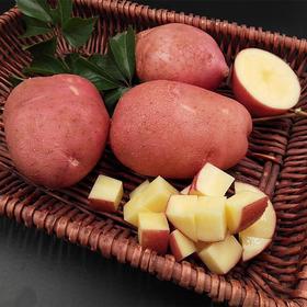 云南高原红皮黄心土豆