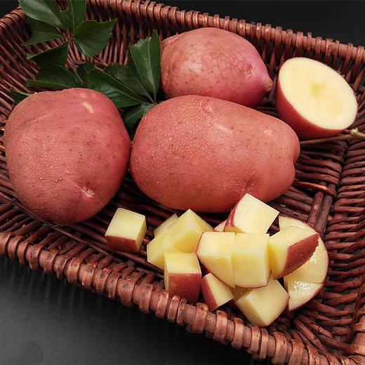 云南高原红皮黄心土豆 商品图0