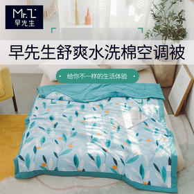 早先生 · 舒爽水洗棉夏被-叶语