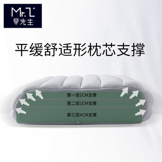 早先生 · 净酷舒适枕 商品图3