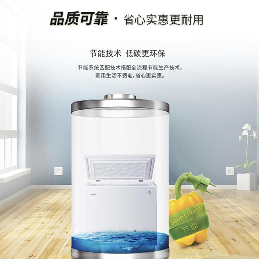 海尔（Haier）冷柜BC/BD-200GHEZW0 商品图6