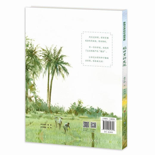 稻田里的发现 7-9岁 蒋万知 著 儿童文学 商品图2