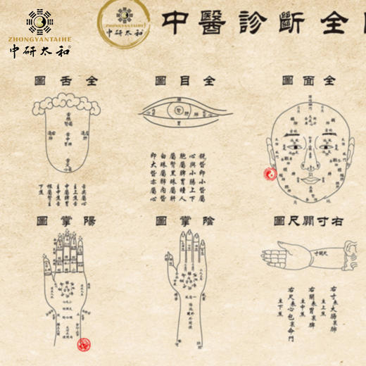 中医诊断全图挂图丝绸卷轴挂图饰挂画中医养生字画门诊会所挂图 商品图5