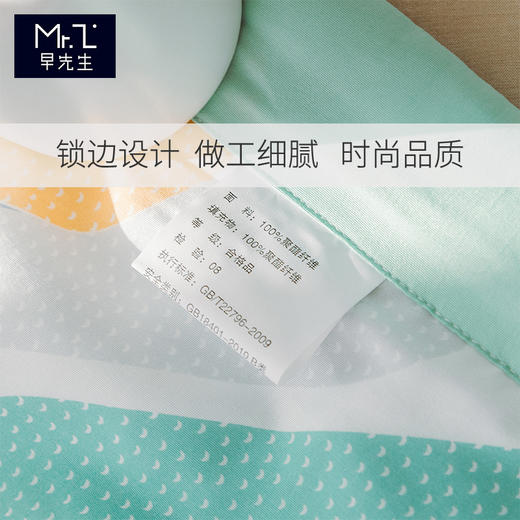 早先生 · 舒爽水洗棉夏被-梦幻 商品图4