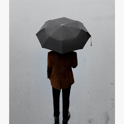 大英博物馆 & 荷兰XDDESIGN 联名伞 女款卷心伞/男款快干伞 商品图1