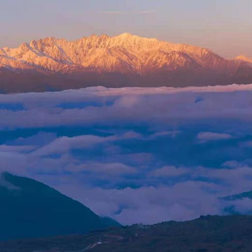 【星空露营丨王岗坪】（5.1-4天天发团）无高反直面贡嘎雪山，森林漫步，星空露营，被央视疯狂点赞的秘境 商品图3