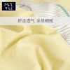 早先生 · 舒爽水洗棉夏被-芭蕉叶 商品缩略图3