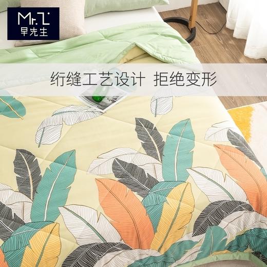 早先生 · 舒爽水洗棉夏被-芭蕉叶 商品图2