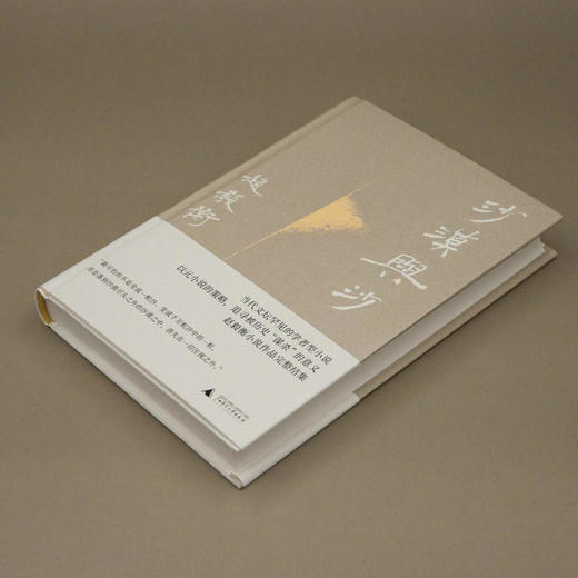 沙漠与沙  赵毅衡/著 小说集 中国 当代 广西师范大学出版社 商品图1