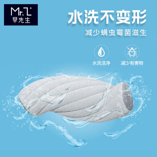 早先生 · 净酷成长枕 商品图1