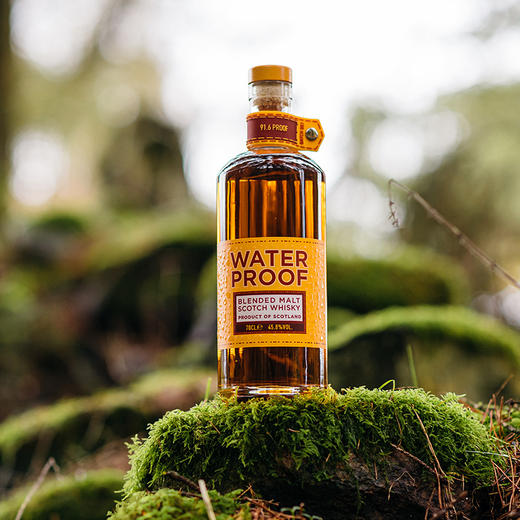 【水富】纯麦调和威士忌_700ML（苏格兰威士忌） 商品图0