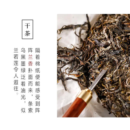 普洱生茶 | 紫金无量 2021年 无量之巅 200g 商品图1