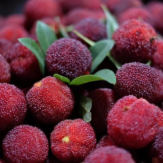 【已下架】等待365天的美味 | 台州仙居东魁杨梅『特级』72颗装 下单现摘 顺丰冷链发货 [福利品] 商品图1