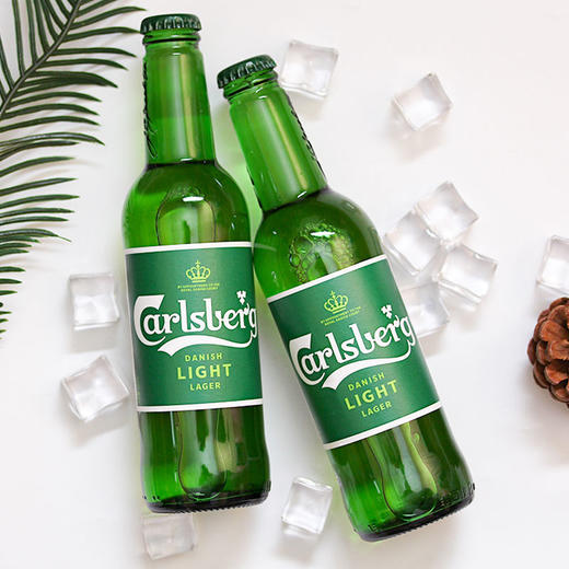 特纯嘉士伯500 商品图1