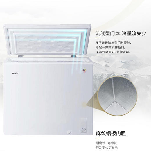 海尔（Haier）冷柜BC/BD-200GHEZW0 商品图5