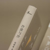 沙漠与沙  赵毅衡/著 小说集 中国 当代 广西师范大学出版社 商品缩略图2