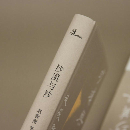 沙漠与沙  赵毅衡/著 小说集 中国 当代 广西师范大学出版社 商品图2