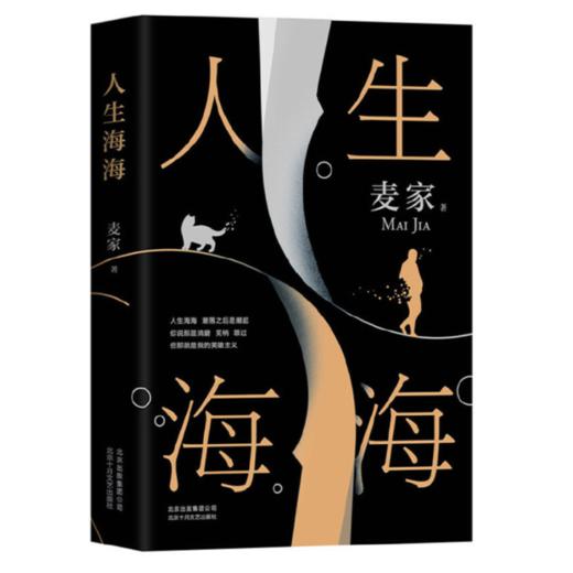 《人生海海》麦家著 商品图0