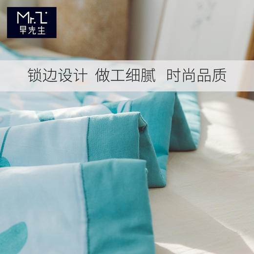 早先生 · 舒爽水洗棉夏被-叶语 商品图4