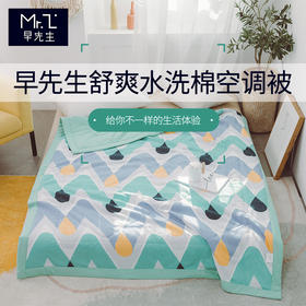早先生 · 舒爽水洗棉夏被-梦幻