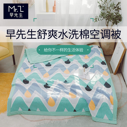 早先生 · 舒爽水洗棉夏被-梦幻 商品图0