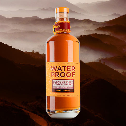 【水富】纯麦调和威士忌_700ML（苏格兰威士忌） 商品图5
