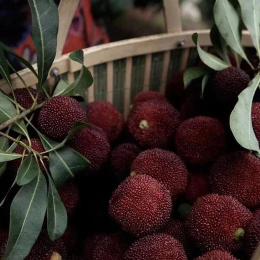 【已下架】等待365天的美味 | 台州仙居东魁杨梅『特级』72颗装 下单现摘 顺丰冷链发货 [福利品] 商品图4