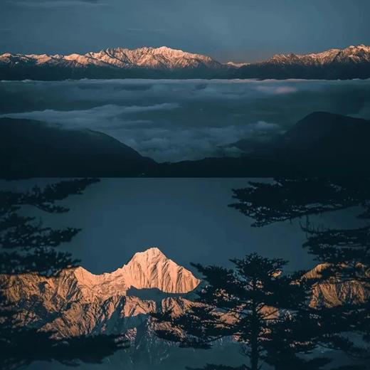 【星空露营丨王岗坪】（5.1-4天天发团）无高反直面贡嘎雪山，森林漫步，星空露营，被央视疯狂点赞的秘境 商品图2