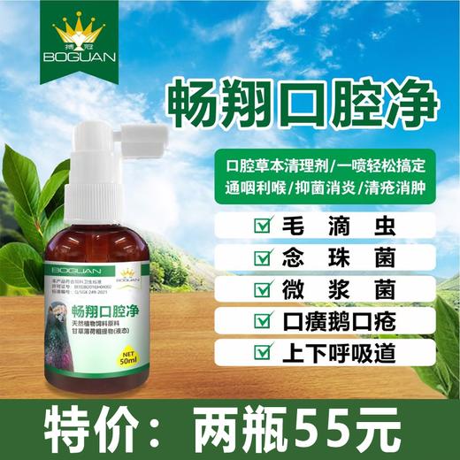 【畅翔口腔净】50ml，念珠菌口黄霉浆毛滴虫赛鸽上下呼吸道（搏冠） 商品图0