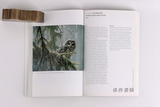 Humans  Nature  And Birds 人类，自然和鸟类 商品图4