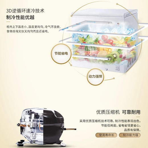 海尔（Haier）冷柜BC/BD-200GHEZW0 商品图2
