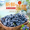 【秒杀】山东露天蓝莓新鲜水果4盒装 125g/盒 商品缩略图0